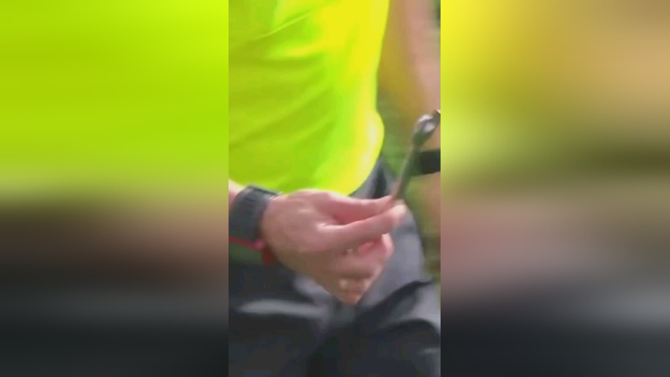 知前